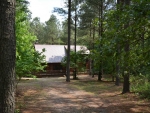 birdhouse-cabin-02.jpg