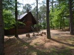 birdhouse-cabin-06.jpg